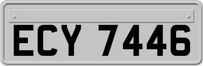 ECY7446