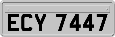 ECY7447