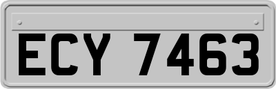 ECY7463