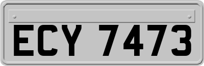 ECY7473