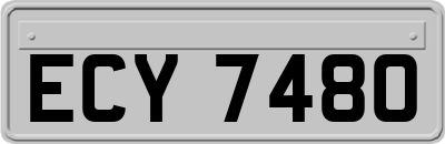 ECY7480