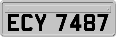 ECY7487