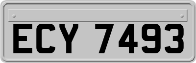 ECY7493