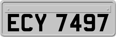 ECY7497