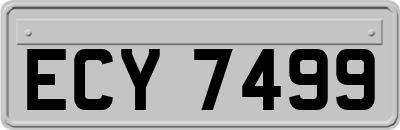 ECY7499