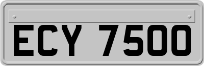 ECY7500