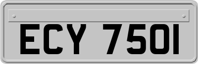 ECY7501