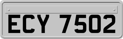 ECY7502