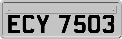 ECY7503
