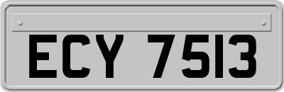ECY7513