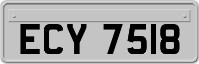 ECY7518