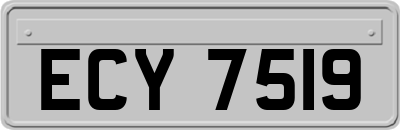 ECY7519