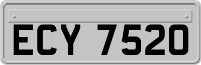 ECY7520