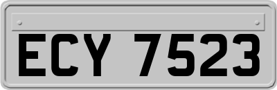 ECY7523