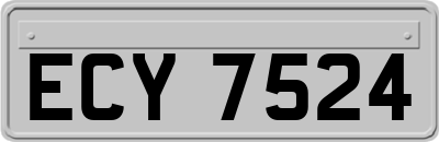 ECY7524