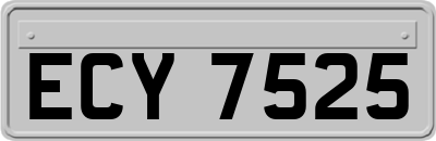 ECY7525