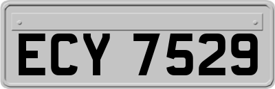 ECY7529