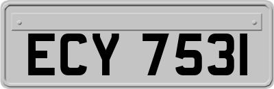 ECY7531