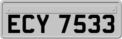 ECY7533