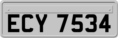 ECY7534