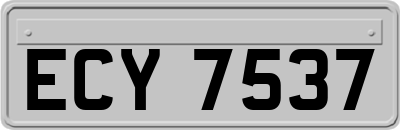 ECY7537