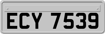 ECY7539