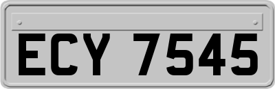 ECY7545