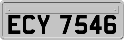 ECY7546