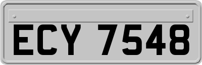 ECY7548