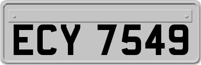 ECY7549