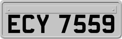 ECY7559