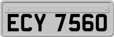 ECY7560