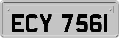 ECY7561