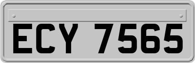 ECY7565