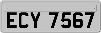 ECY7567