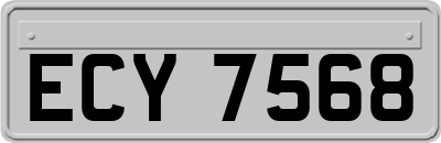 ECY7568
