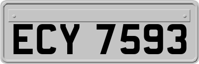 ECY7593