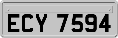 ECY7594