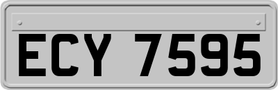 ECY7595