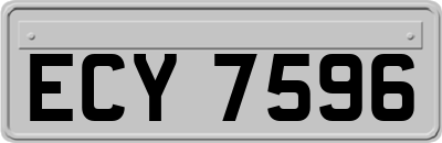 ECY7596