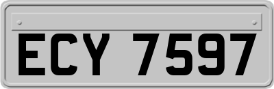 ECY7597