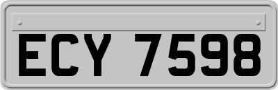 ECY7598
