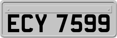 ECY7599
