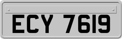 ECY7619