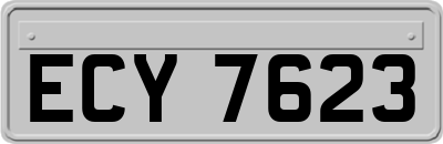 ECY7623