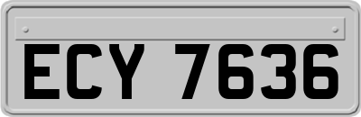 ECY7636