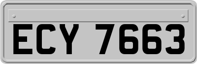 ECY7663