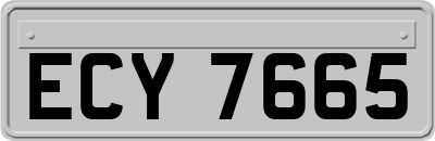 ECY7665