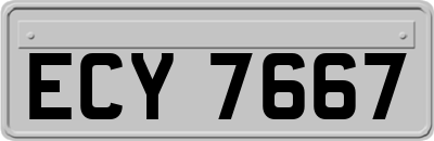 ECY7667