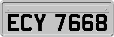 ECY7668